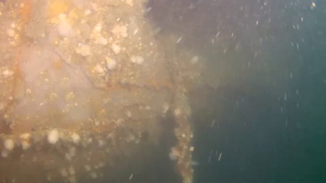 Dresden wreck смотреть онлайн