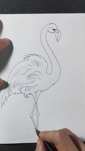Как нарисовать розового фламинго./shorts смотреть онлайн