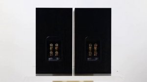 B&W 685 S2 - Black Ash