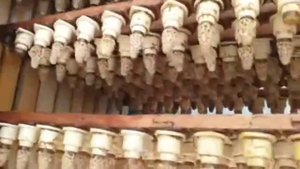 Пчеловодство. Матки на продажу. Вывод маток. Пчёлинные матки. Заказ маток Бакфаст, Карника