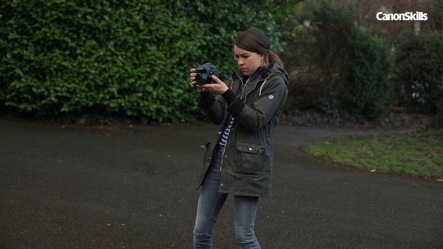 How to create a Brenzier portrait