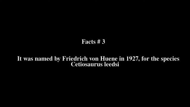 Cetiosauriscus Top # 5 Facts смотреть онлайн