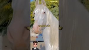 Самая дорогая лошадь в МИРЕ.
