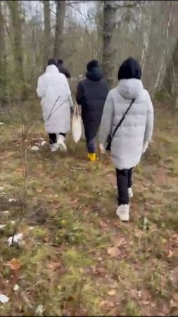 @прогулка @лес @река @январь @2025 @зима