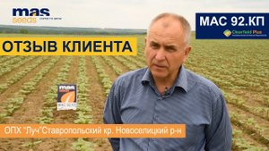 Гибрид подсолнечника МАС 92.КП в Ставропольском крае: опыт возделывания и получения высокого урожая