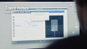 deCoda 1.1 - turn your sample into music