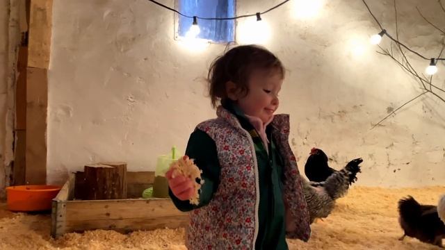 Army Street/ Lincoln Street Medley #folksong #americana #fiddletunes #fiddle смотреть онлайн