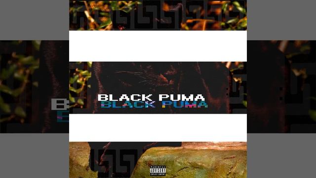 Black Puma смотреть онлайн