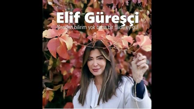 Elif Güreşçi ~ Senden bilirim yok bana bir fâide ey gül смотреть онлайн