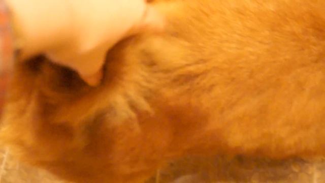 Залип перед зеркалом. смотреть онлайн