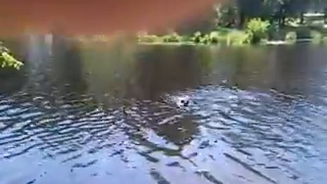 120621 142807 смотреть онлайн