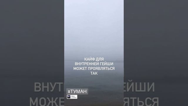 Наполнение