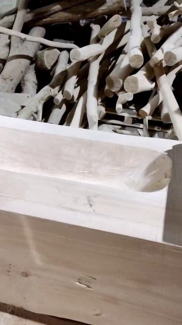 Кедровая раковина 💪 смотреть онлайн