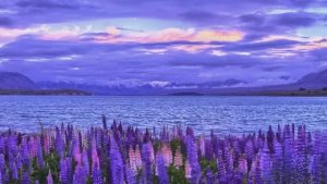 Новая Зеландия - Скрытый рай!...