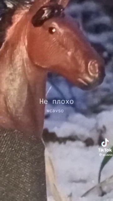 бедная Молекула.... #лошади #schleich #лошадишляйх #schleichhorse #horse #video #рек #новоевидео смотреть онлайн