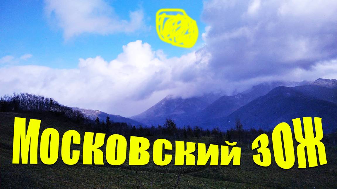 Московский ЗОЖ.