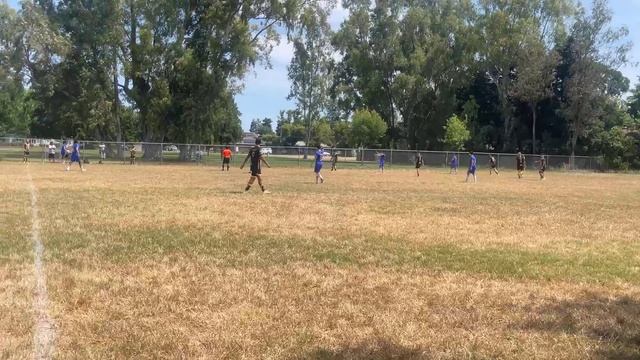 Halftime from Brazuca and Azteca on willow CA смотреть онлайн