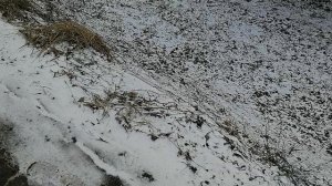Усадьба Парк 6.02.2025 Кино Ляхово. Парк Кошек.Домодедово.Ремонт сьеховшего тротуара в кювет. Обзор.