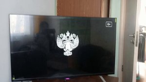 нету малыша в барбоскиных заставка 😰😨😧😦😮😯😲