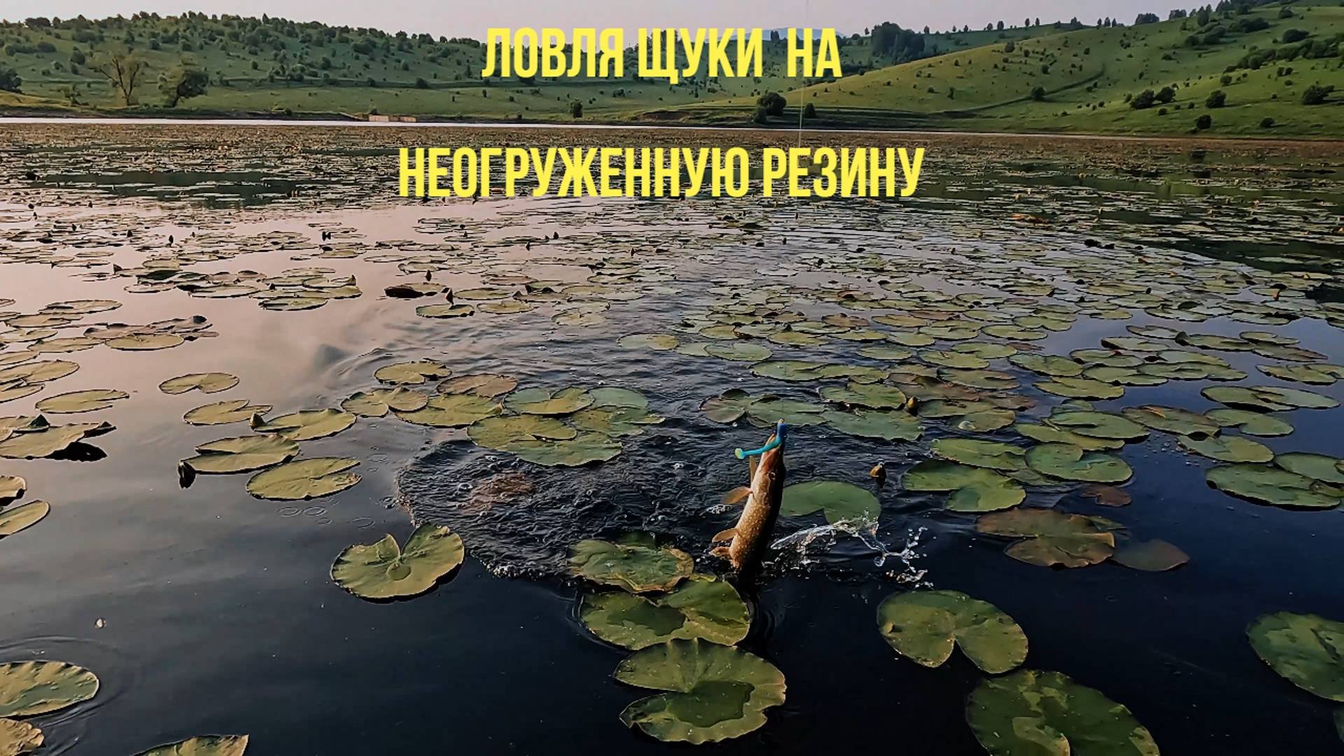 БЕШЕННЫЕ "ШНУРКИ" АТАКУЮТ или ЛОВЛЯ ЩУКИ НА НЕОГРУЖЕННУЮ РЕЗИНУ. #рыбалка #щука #рыбалканащуку