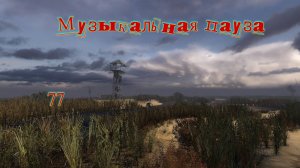 Музыкальная пауза № 77. Чиж.