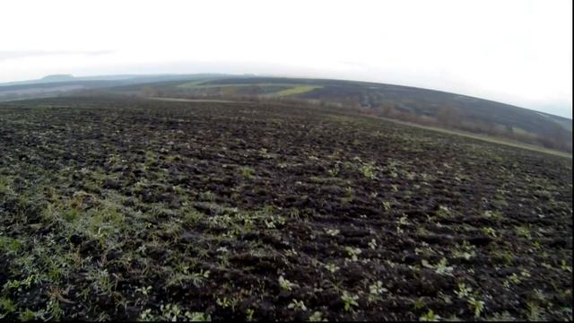 Полювання на зайця 2017  Охота на зайца 2017
