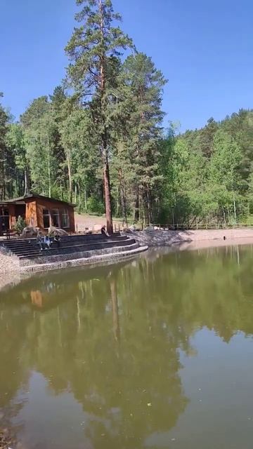 04.06.2023 Гремячая грива  #гремячаягрива  #siberia #nature #familyfun #лес #природа #экопарк