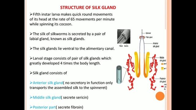 Sericulture part 2