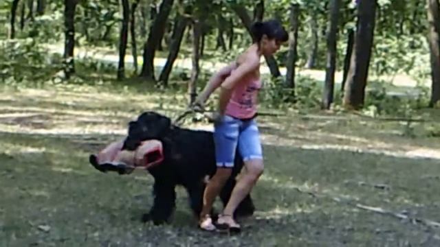 Горка . атаки на отходе смотреть онлайн