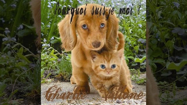 Лас саи. Лас саи. Лас саи. Покрас кожи в саи 2. Пейнт тул саи.