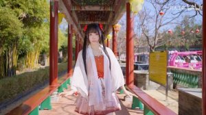 2025恭喜发财!《春意红包》交上来!❤