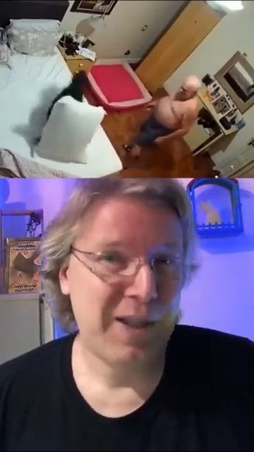 депрессия собака приют пожилой рек топ хочуврек смотреть онлайн