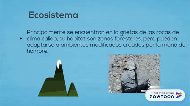 lutzomyia final смотреть онлайн