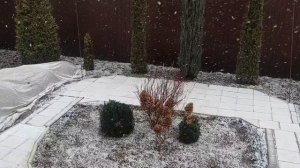 ДЕРЕВЕНСКИЙ ДНЕВНИК. Играла с самого начала.