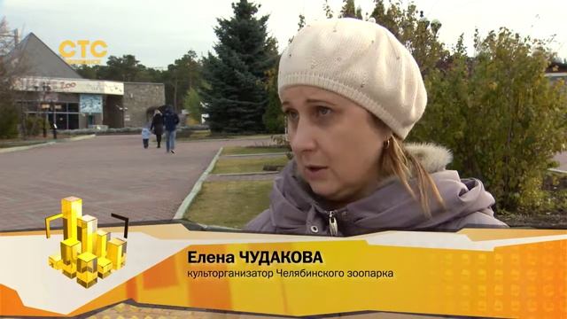 Пир для четвероногих гурманов смотреть онлайн