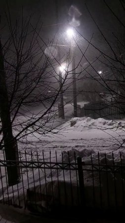 Наш февраль