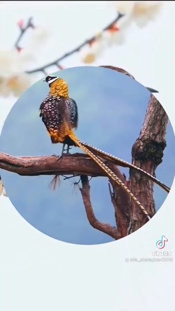 21 марта 2022 г. смотреть онлайн