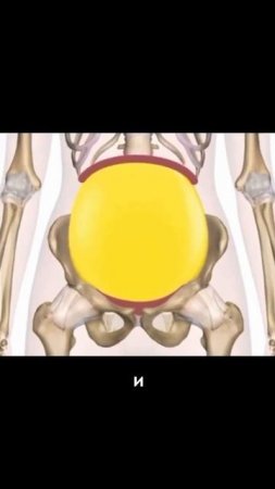 Вот почему шевелить бёдрами крайне полезно