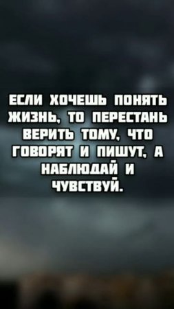 Цитата дня. Как понять жизнь. Антон Чехов