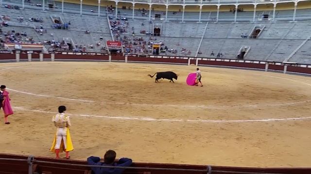 Коррида corrida смотреть онлайн