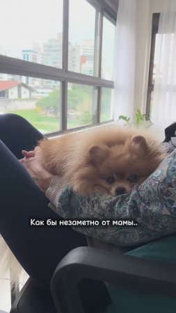 О чём думает миленькая Бася?