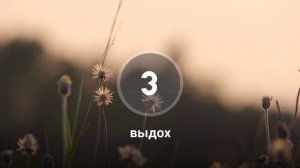 Дыхательная практика для быстрого выхода из стресса (4вдох -8 задержка -4 выдох)