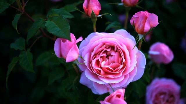 Лучшая русская песня и видео онлайн