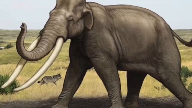 Cenozoic Period Animals Sounds (20 of them) смотреть онлайн