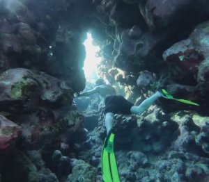 DIVEDAY4