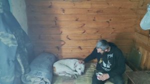 Хутор на Краю Леса. Сваи Готовы! Снова взялся за двор. часть 44