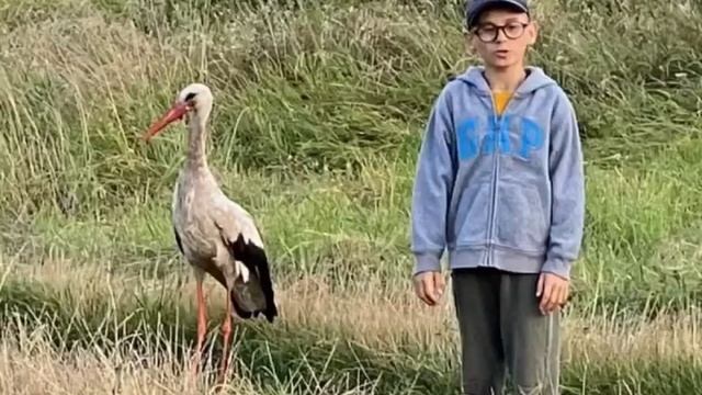 Які права має знати кожна дитина смотреть онлайн