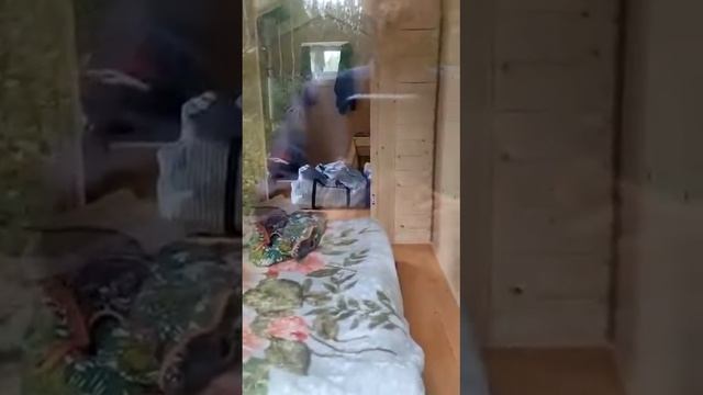 Мобильный домик Скандинавия