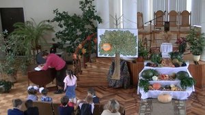 Жатвенная программа 16 год