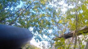 Edgun Matador .22 Duck hunting 45m.